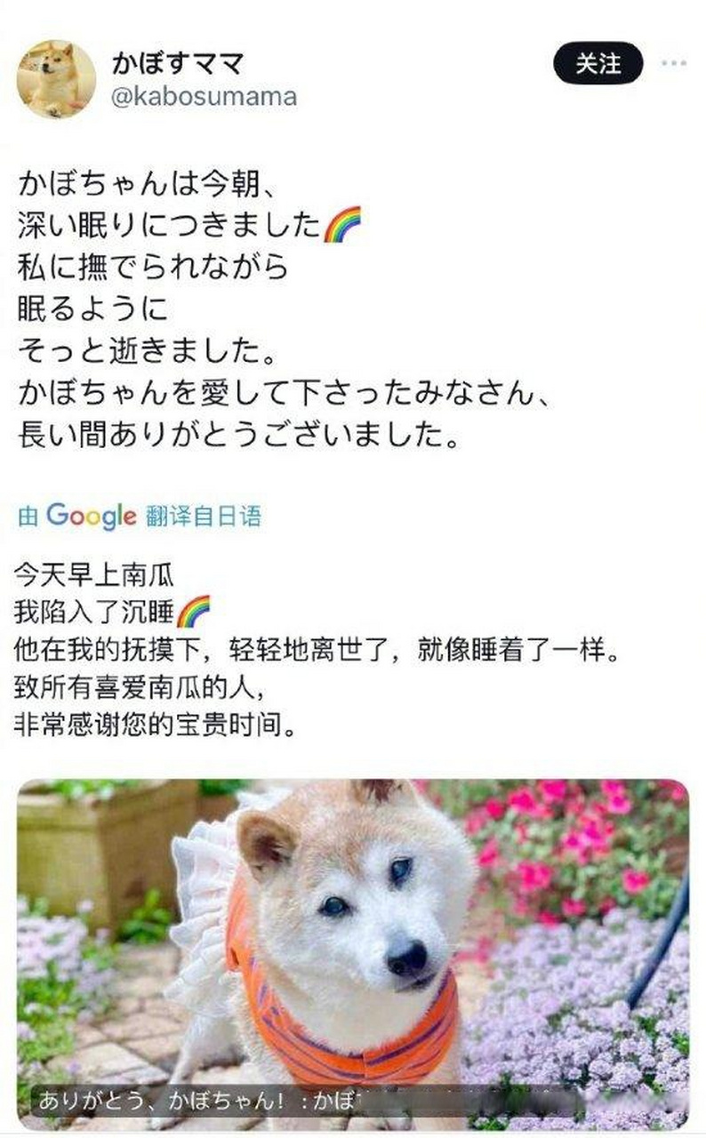 手机挖狗狗币网站是真的吗,手机挖狗狗币网站 手机挖狗狗币网站是真的吗,手机挖狗狗币网站