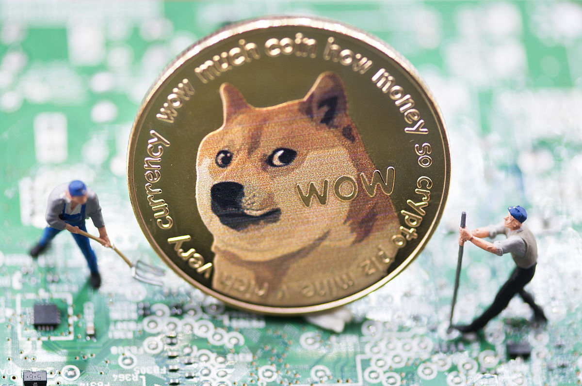 如何购买狗狗币股票,股票怎么买狗狗币 如何购买狗狗币股票,股票怎么买狗狗币